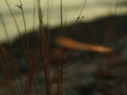 Waves coming ashore Stock Footage