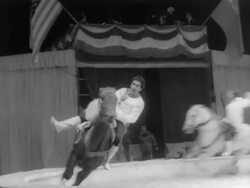 The Moscow Circus at Madison Square Gardens Stock Footage