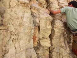 Handheld shot of a rock-climber climbing a cliff. Stock Footage