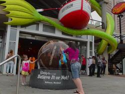 MS Shot of Baltimore Maryland Inner harbor with Pratt Street Pavilion Ripley's Believe it Or Not for families on Chesapeake Bay / Baltimore, Maryland, United States Stock Footage
