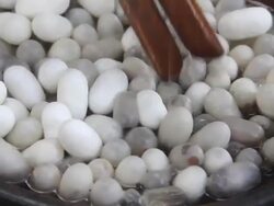 Boiling Silkworm Cocoons. Stock Footage