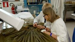 Antiques restoration Stock Footage