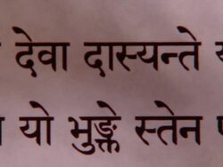 CU PAN Bhagavad Gita in Sanskrit / New York City, New York, USA  Stock Footage