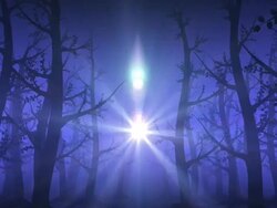 Blue Foggy Forest Loopable Stock Footage
