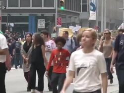 People's Climate March - NYC Stock Footage