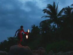 HD:Fire show. Stock Footage