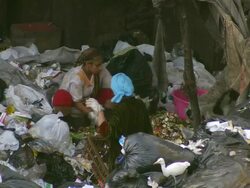 MS Shot of two woman sorting garbage recyclable materials / Cairo, Egypt Stock Footage