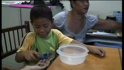 Remote control hearing implants for Samoan children News Clip
