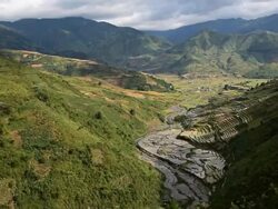 terraced rice field in Tule Village Stock Footage