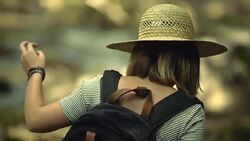 Exploring the woods Stock Footage