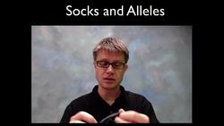 Hardy-Weinberg Equation Instructional Video