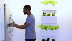 African American Male Opening the Refrigerator Stock Footage