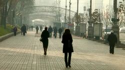 CLEAN : Ukraine rebel vote absolutely illegal  say Kiev residents News Clip