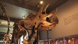 CLEAN: LA invaded by dinosaurs News Clip