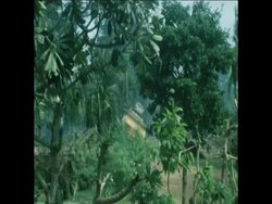 SYND 27-12-73 HIGHWAY ONE FIGHTING News Clip