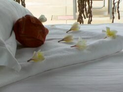 MS ZO Shot of decorated luxury hotel room near pool / Sihanoukville, Cambodia Stock Footage