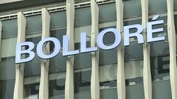 CLEAN : Africas forests menaced by palm oil rush Greenpeace News Clip