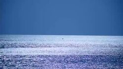 Bright moon over the sea Stock Footage