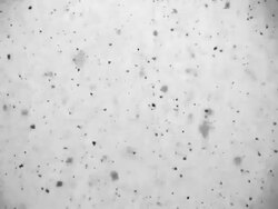 Black dust loop Stock Footage