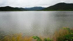 Water Moving of the lake Stock Footage