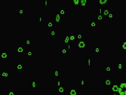 recycle logos falling Stock Footage