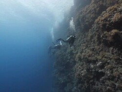 Scuba Diving Stock Footage