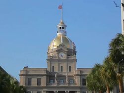 Savannah City Hall Stock Footage