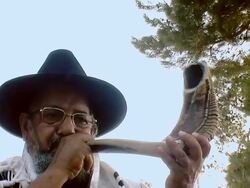 Sounding a shofar Stock Footage