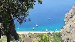 Walking in the Butterfly Valley Stock Footage