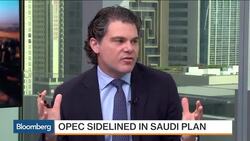 Saudi Plan Could Sideline OPEC News Clip