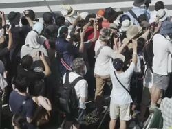 Asakusa Samba Festival Stock Footage