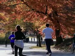 WS People jogging at central park / New York, United States Stock Footage