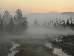 WS View of Morning Mood and steam or fog rising from small stream, UNESCO World Heritage Site, Yellowstone National Park / Yellowstone, Wyoming, United States Stock Footage