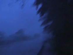 People walking in extreme winds zoom out reveal thrashing trees by road, Philippines, Typhoon Parma, 2009 Stock Footage