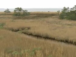 MS AERIAL Shot of Jockey's Ridge State Park with lake/ North Carolina, United States Stock Footage