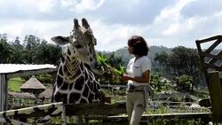 CLEAN : Zoo remains open after goverment seizes News Clip