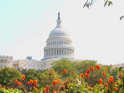 HD US Capital Building ZoomOut_1 (1080/24P) Stock Footage