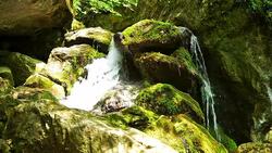 Mountain stream with falling water Stock Footage