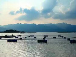 Qingshitan lake Stock Footage