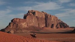 camels, bedouin, wadi rum, valley of the moon Stock Footage