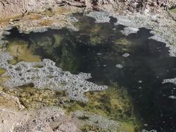 MS Shot of small brown and dark green geyser pool with bubbles on surface / Geiser del Tatio, Atacama desert, Chile Stock Footage