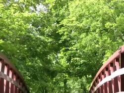 Country Bridge Stock Footage