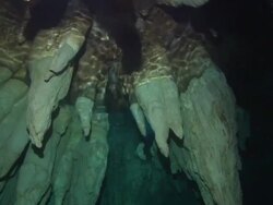 Chandelier Cave,  Palau, South Pacific  Stock Footage