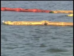 With the Gulf oil well capped and little oil showing up along the shore, BP has started removing some of the oil-blocking boom from Mississippi. But some worry that it may be too soon. News Clip