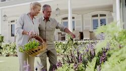 Happy senior couple with basket picking flowers in garden Stock Footage