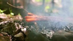 Sausages on smoky barbecue in natural enviroment Stock Footage