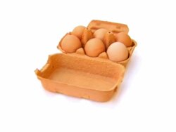 PAL: Rotating Eggs Stock Footage