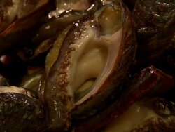 Close up of abalone on tray. Stock Footage
