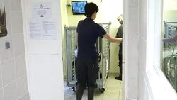 VOICED : Francia espera el nacimiento de gemelos panda News Clip