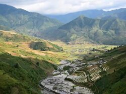 terraced rice field in Tule Village Stock Footage